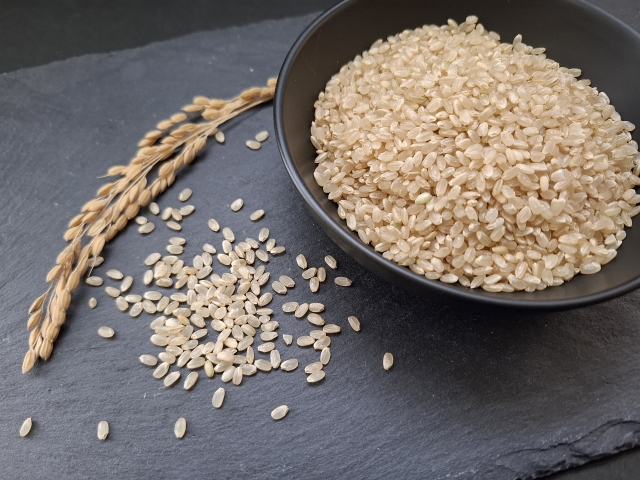 yԌzꌧY~L[NC[@1kg(ĉi)